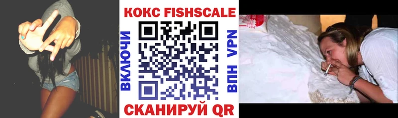 Купить  Змеиногорск  Кокаин Fish Scale 