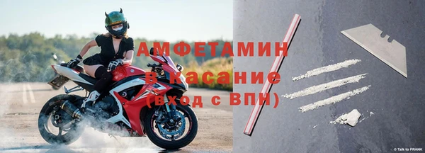сатива Волосово