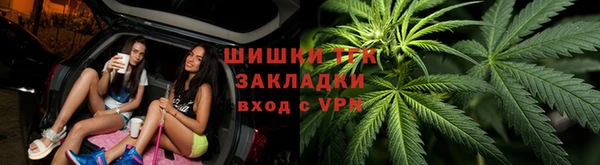 индика Волоколамск