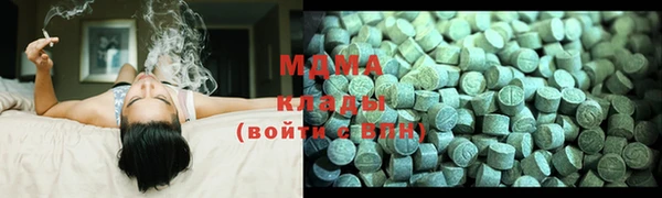 индика Волоколамск