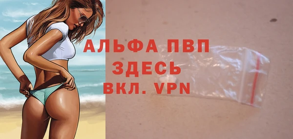 сатива Волосово