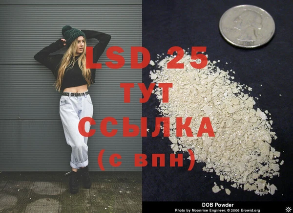 сатива Волосово
