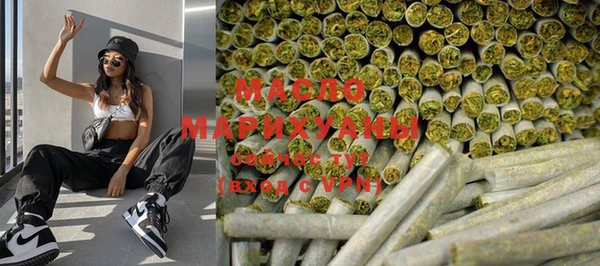индика Волоколамск
