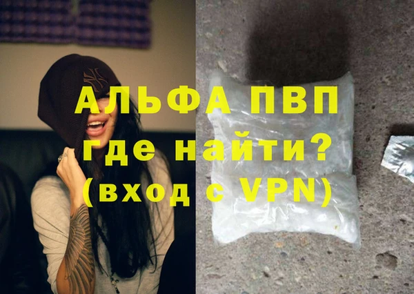 индика Волоколамск