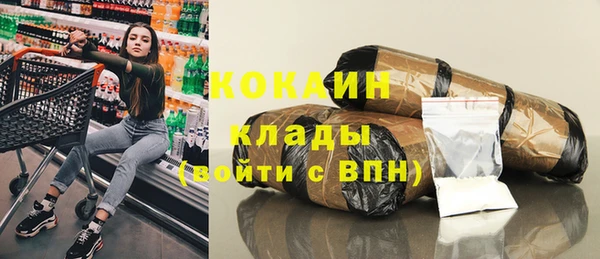 индика Волоколамск