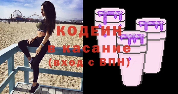 индика Волоколамск
