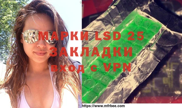 индика Волоколамск