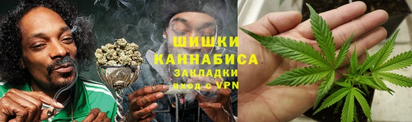 сатива Волосово