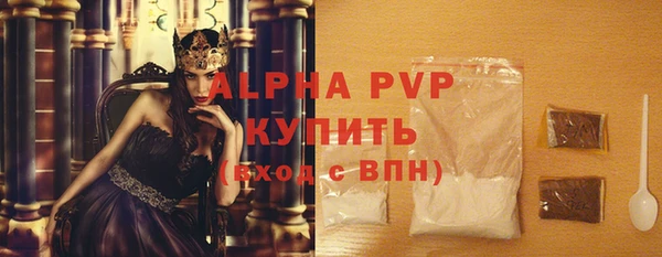 индика Волоколамск