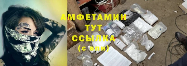 индика Волоколамск