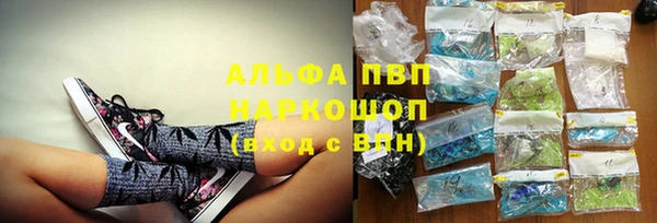 индика Волоколамск