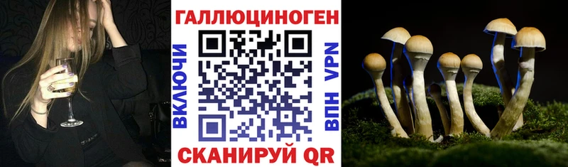 Купить  Змеиногорск  Псилоцибиновые грибы Psilocybine cubensis 